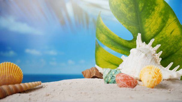 Summer time concept, Seashells on sand beach and blurred beach background. - Fotografie, Obrázek