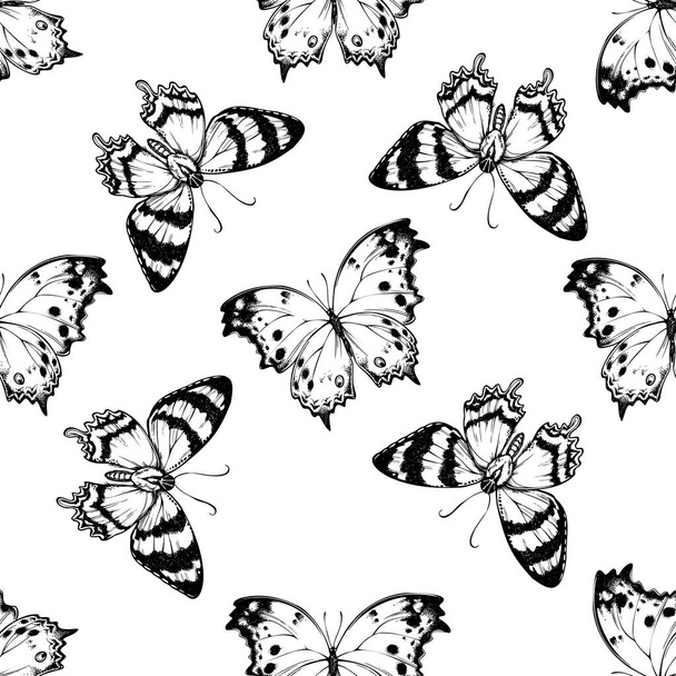 Seamless pattern with black and white alcides agathyrsus, forest mother-of-pearl - Vector, Imagen