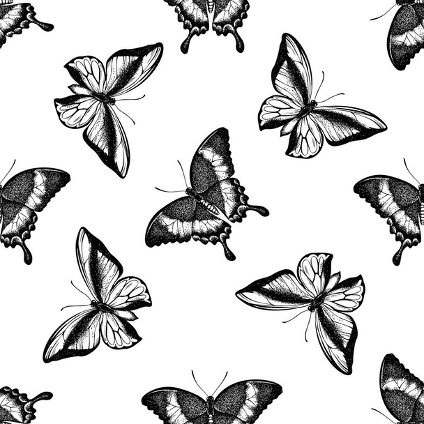 Seamless pattern with black and white emerald swallowtail, swallowtail butterfly - Вектор, зображення
