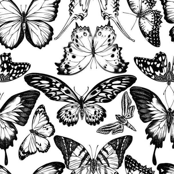 Seamless pattern with black and white giant swordtail, lemon butterfly, red lacewing, african giant swallowtail, white-banded hunter hawkmoth, forest mother-of-pearl, plain tiger - Διάνυσμα, εικόνα