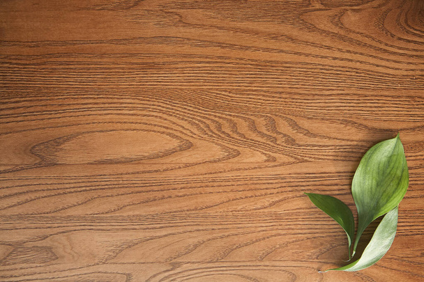 vista superior de folhas verdes na superfície de madeira
 - Foto, Imagem