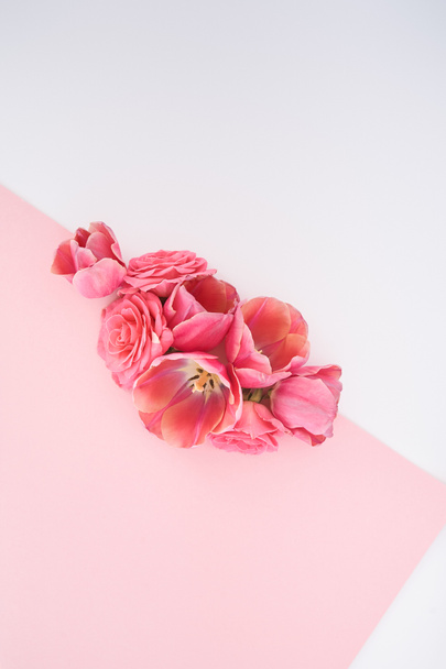 vista superior de rosas rosadas y brotes de tulipanes sobre fondo rosa y blanco con espacio para copiar
 - Foto, Imagen