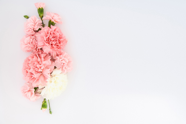 top view of pink carnations on white background with copy space - Fotoğraf, Görsel