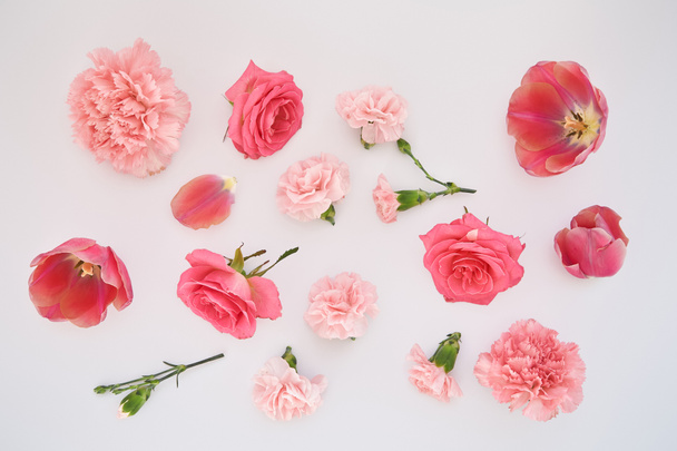 vrchní pohled na růžové jarní květiny rozptýlené na bílém pozadí - Fotografie, Obrázek