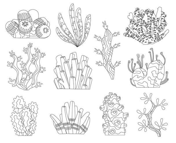 Морские водоросли, морские водоросли и силуэты кораллов. Подводные водоросли. Коллекция растений аквариума. Векторная морская жизнь. Изолированные кораллы и водоросли. Подводная флора
 - Вектор,изображение