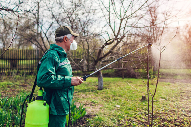 春の庭の昆虫に対して手動の農薬散布機でシニア農家の噴霧木。農業と園芸の概念 - 写真・画像