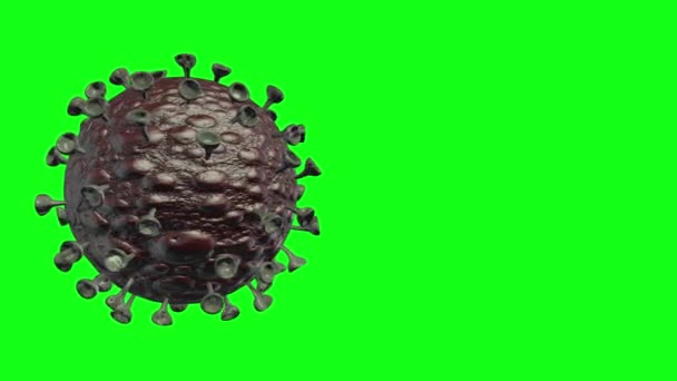 Corona virus cel draaien in lus modus met groene achtergrond3D rendering van coronavirus covid-19 roteert met groene achtergrond in loop modus - Video