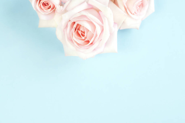 Χλωμά ροζ τριαντάφυλλα σε γαλάζιο φόντο. Απαλό και όμορφο φόντο. - Φωτογραφία, εικόνα