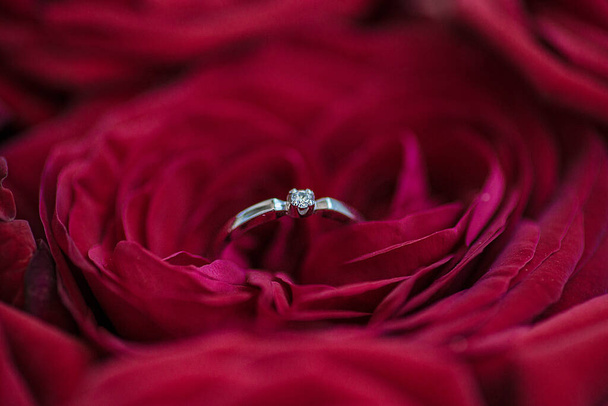 Όμορφο δαχτυλίδι αρραβώνων από λευκό χρυσό με ένα διαμάντι στο φόντο κόκκινα τριαντάφυλλα. Διαμαντένιο δαχτυλίδι. Βέρα γάμου. - Φωτογραφία, εικόνα
