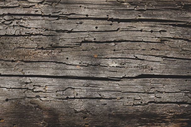  background of old wood eaten by bark beetles - Foto, Imagen