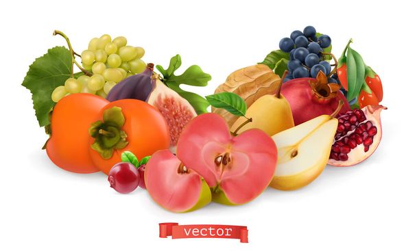 Őszi gyümölcsök és bogyók. Körte, rózsaszín alma, fehér édes szőlő és borszőlő, füge, goji bogyó, datolyaszilva gyümölcs, gránátalma. 3d reális vektor illusztráció - Vektor, kép