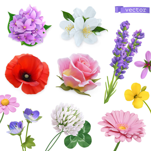 Frühlingsblumen. Flieder, Jasmin, Mohn, Rose, Lavendel, Klee, Kamille. 3D realistische Vektorsymbole gesetzt - Vektor, Bild