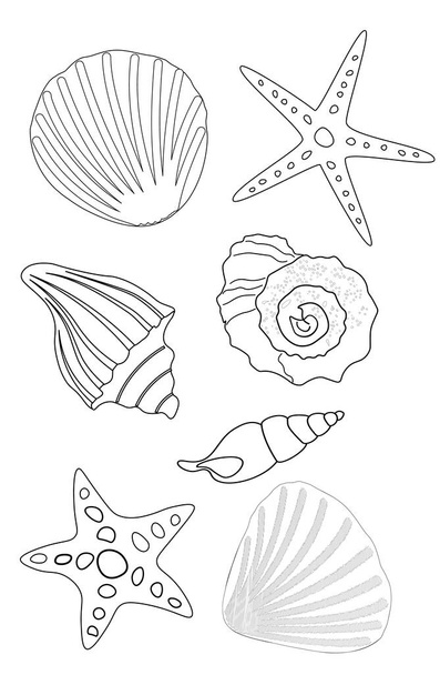 libro para colorear contornos negros de conchas marinas y estrellas sobre un fondo blanco
 - Vector, Imagen