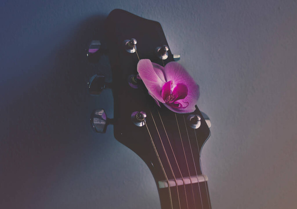 Guitarra acústica com flor de orquídea rosa
 - Foto, Imagem
