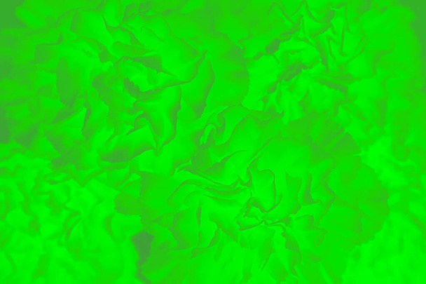 Fondo vivo de textura floral verde neón, patrón de flores de clavel
 - Foto, imagen