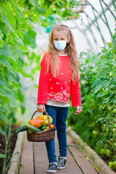 Cute little girl collects crop cucumbers and tomatos in greenhouse - Photo, Image