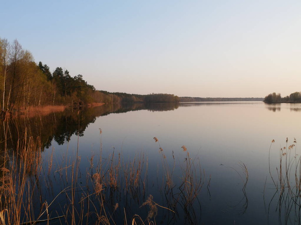 Lago al tramonto, su uno sfondo di alberi. Riflessione della natura nel lago. Diamond Lake Kiev, Ucraina
. - Foto, immagini