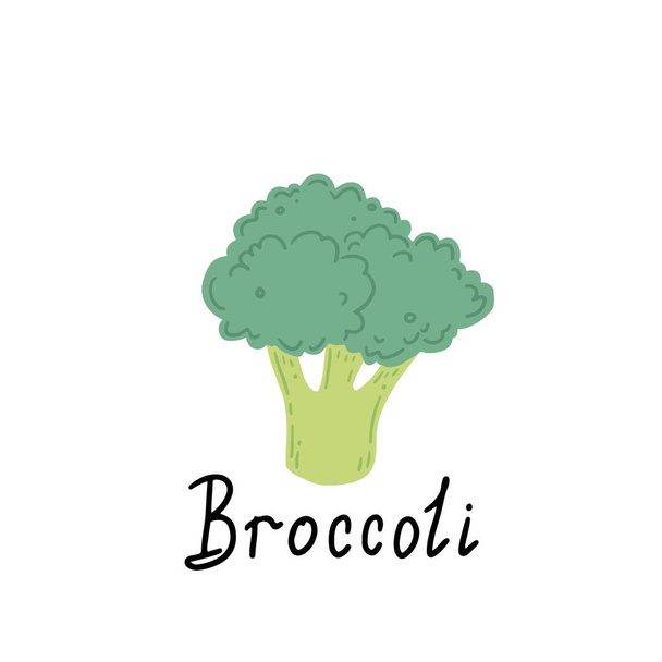 Broccoli vector illustration. Cartoon style - Вектор,изображение