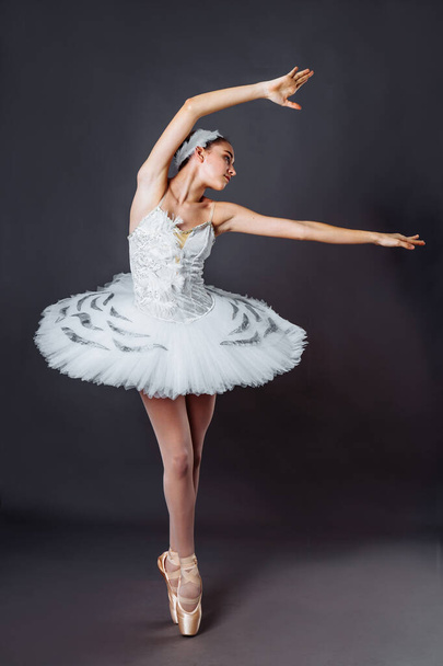 Retrato de la joven hermosa bailarina caucásica elegante practicar posiciones de ballet en falda de tutú de cisne blanco del lago Swan. Bailarina clásica de ballet en estudio sobre fondo gris de puntillas
 - Foto, Imagen