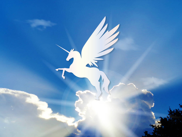 Unicorn mythical divine winged horse flying on blue shine sky vivid color - Photo, Image