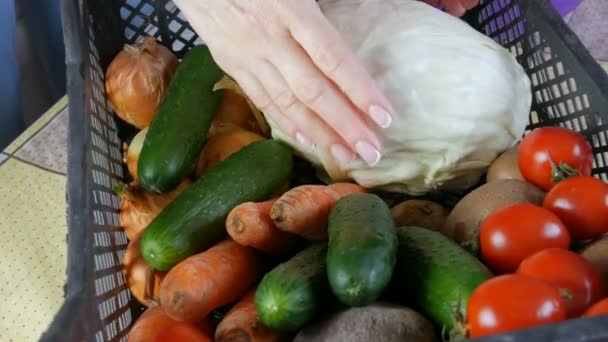 Vrouwelijke handen nemen kool. Doos met groenten aardappelen bieten komkommers cherry tomaten kool uien close-up. Levering van voedsel tijdens een coronaviruspandemie en op afstand. Online winkelen. - Video