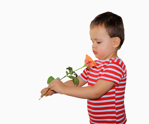 Boy with rose - Фото, зображення