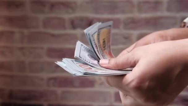 Close up de mulheres mãos contando-nos dólares
 - Filmagem, Vídeo