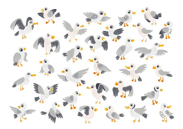 Uma coleção de personagens de gaivotas isoladas em branco
 - Vetor, Imagem