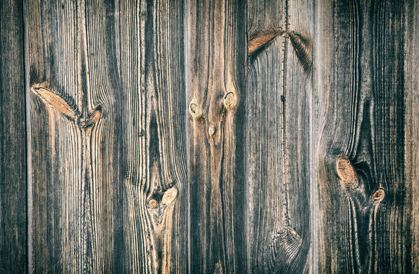 Creative image of wood texture with natural pattern. Abstract background, blank template. Retro styl - 写真・画像