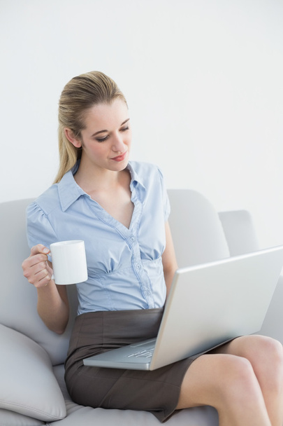 Gorgeous calm businesswoman working on notebook holding a cup - Foto, immagini