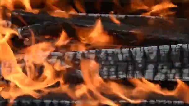 Holzscheite brennen heiß im Feuer - Filmmaterial, Video