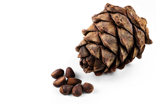 cedar cone, pinus sibirica nuts on the white background isolated - Photo, Image