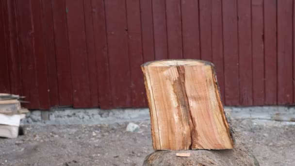 ウクライナの村で斧で薪を切る。日常業務. - 映像、動画