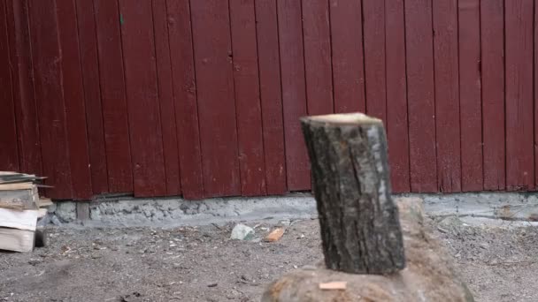 Couper du bois de chauffage avec une hache dans un village en Ukraine. Affaires quotidiennes
. - Séquence, vidéo