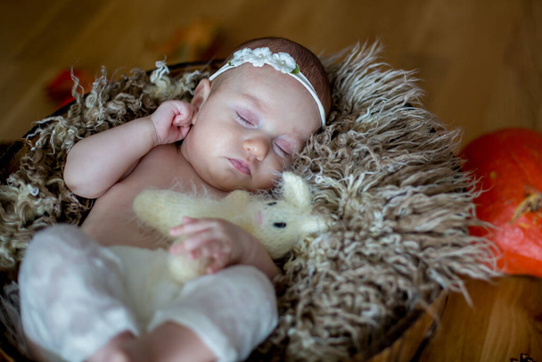 Close portrait of newborn baby girl in studio - Zdjęcie, obraz