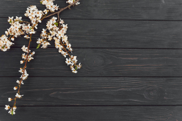 brunch από άνθη κερασιάς άνοιξη στο σκούρο ρουστίκ ξύλινο φόντο με ένα χώρο αντίγραφο - Φωτογραφία, εικόνα