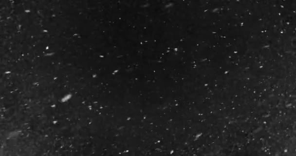 Neve cair sobre um fundo escuro
 - Filmagem, Vídeo
