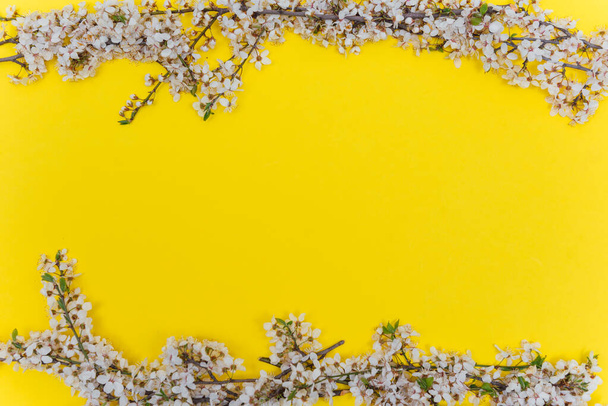 Frame from sprigs of the apricot tree with flowers on yellow background. Place for text. The concept of spring came, mother's day, 8 march. Top view. Flat lay Hello march, april, may - Foto, Imagem