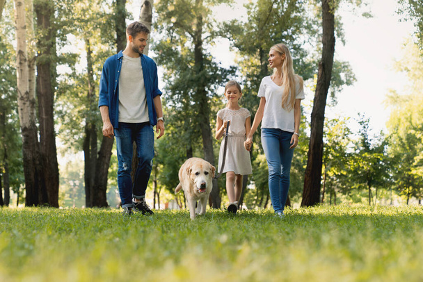 Full length of cute smiling little girl and her parents walking in park with dog - Fotoğraf, Görsel