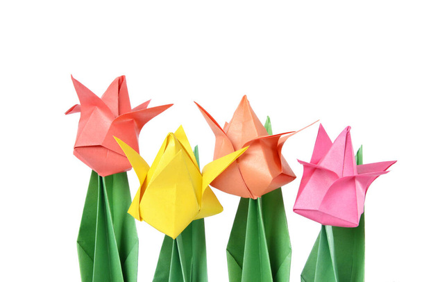 Орігамі тюльпан ізольований на білому тлі
 - Фото, зображення