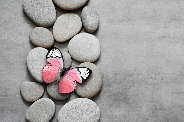 Gray spa stones on grey background and butterfly. Spa concept. - Photo, Image