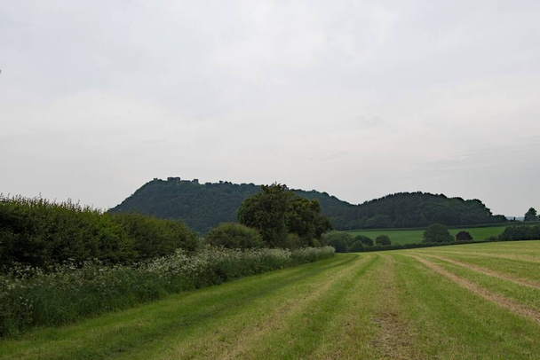 El sendero de arenisca es un sendero de 55 kilómetros para caminantes de larga distancia, que sigue crestas de arenisca que van hacia el norte desde Frodsham en el centro de Cheshire hasta Whitchurch, justo al otro lado de la frontera de Shropshire. El camino fue creado en 1974 y se extendió en la década de 1990
.  - Foto, imagen
