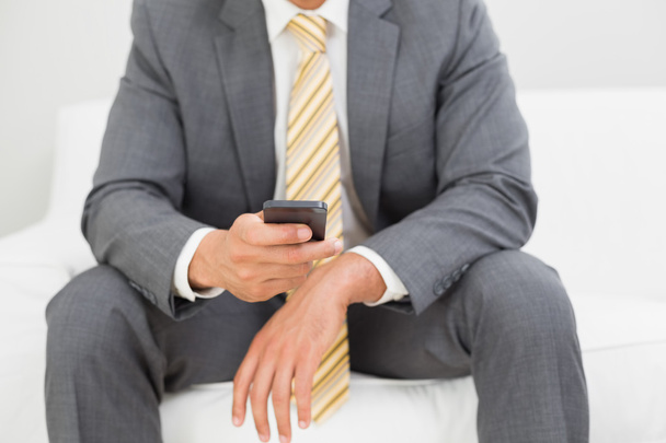 Mid section of an elegant young businessman text messaging - Foto, immagini