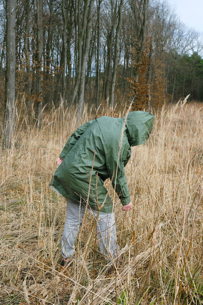 Une scène d'anxiété et de désespoir dans le cataclysme. Une personne solitaire en vêtements de protection cherche quelque chose dans l'herbe sèche sur une clairière forestière
. - Photo, image