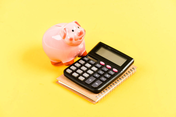 Financial wellbeing. Economics and finance. Credit concept. Money saving. Banking account. Earn money salary. Money budget planning. Calculate profit. Piggy bank pink pig and calculator. Save money - Photo, Image