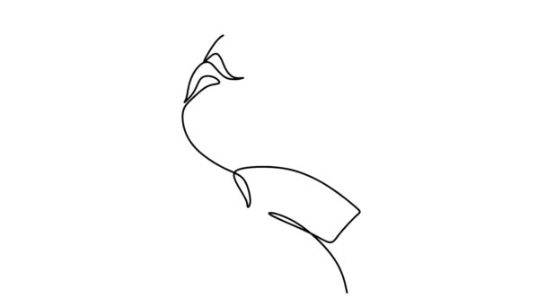 Zelf tekenen eenvoudige animatie van een enkele continue lijn tekening van de mens. Line art video animatie - Video