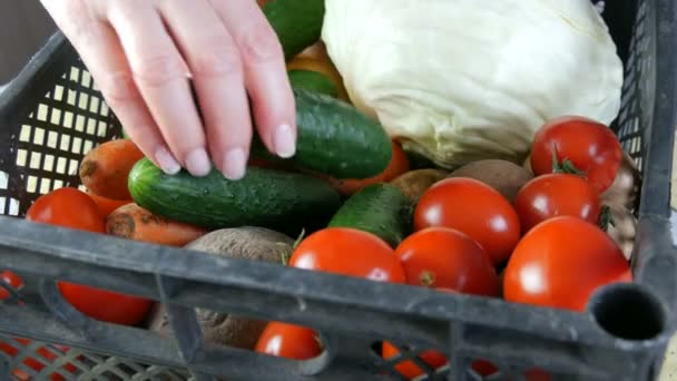 Vrouwelijke handen nemen komkommer en wortel. Doos met groenten aardappelen bieten cherry tomaten kool uien close-up. Levering van voedsel tijdens een coronaviruspandemie en op afstand. Online winkelen. - Video