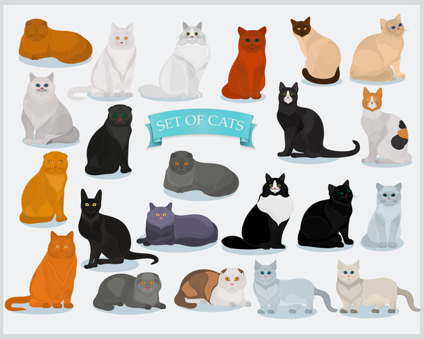 Conjunto de gatos de diferentes razas sobre un fondo claro. Gatos vectores
. - Vector, imagen
