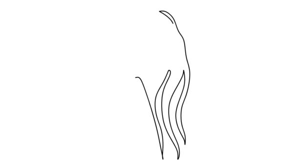 Zelf tekenen eenvoudige animatie van een enkele continue een lijn tekening van vrouwelijke gezicht. Schoonheidsmeisje of vrouwenportret. Tekenen met de hand, zwarte lijnen op een witte achtergrond. - Video