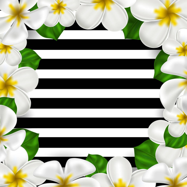 Векторная реалистичная гавайская цветочница. Бело-желтый цвет франжипани на полосатом фоне. Летний рай. Ботанический характер иллюстрации для баннера и карт. Цветочные рамки
 - Вектор,изображение